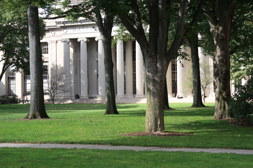 Campus trees and columns