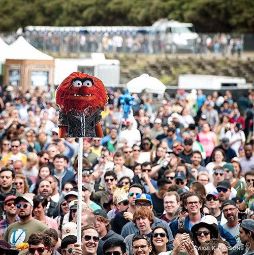 Monster in the crowd. Dr. Teeth and the Electric Mayhem perform at outside lands, Golden Gate Park, San Francisco, California (© Paige Parsons).
