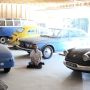 A photo of David Lucsko sitting on the floor of a garage surrounded by old cars 
