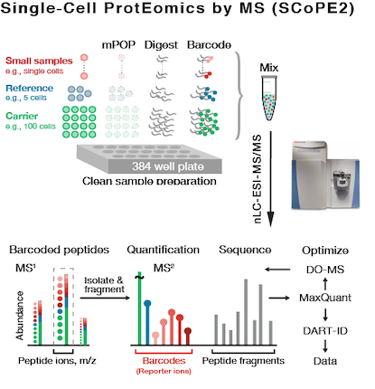Single cell proteomics by mass spectrometry SCoPE2 | quantifying proteins in single cancer and stem cells
