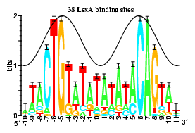 Sequence logo of LexA binding sites