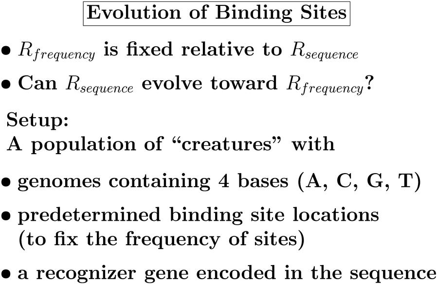  Evolution of Binding Sites * Rfrequency is fixed
relative to Rsequence * Can Rsequence evolve toward
Rfrequency? Setup: A population of 