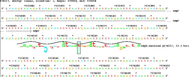 Lister map with sequence walker showing 13.3 bit OxyR
site after nmpC