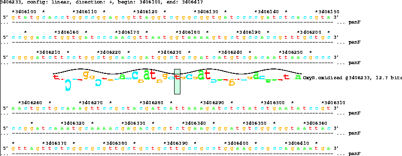 Lister map with sequence walker showing 12.7 bit OxyR
site inside panF