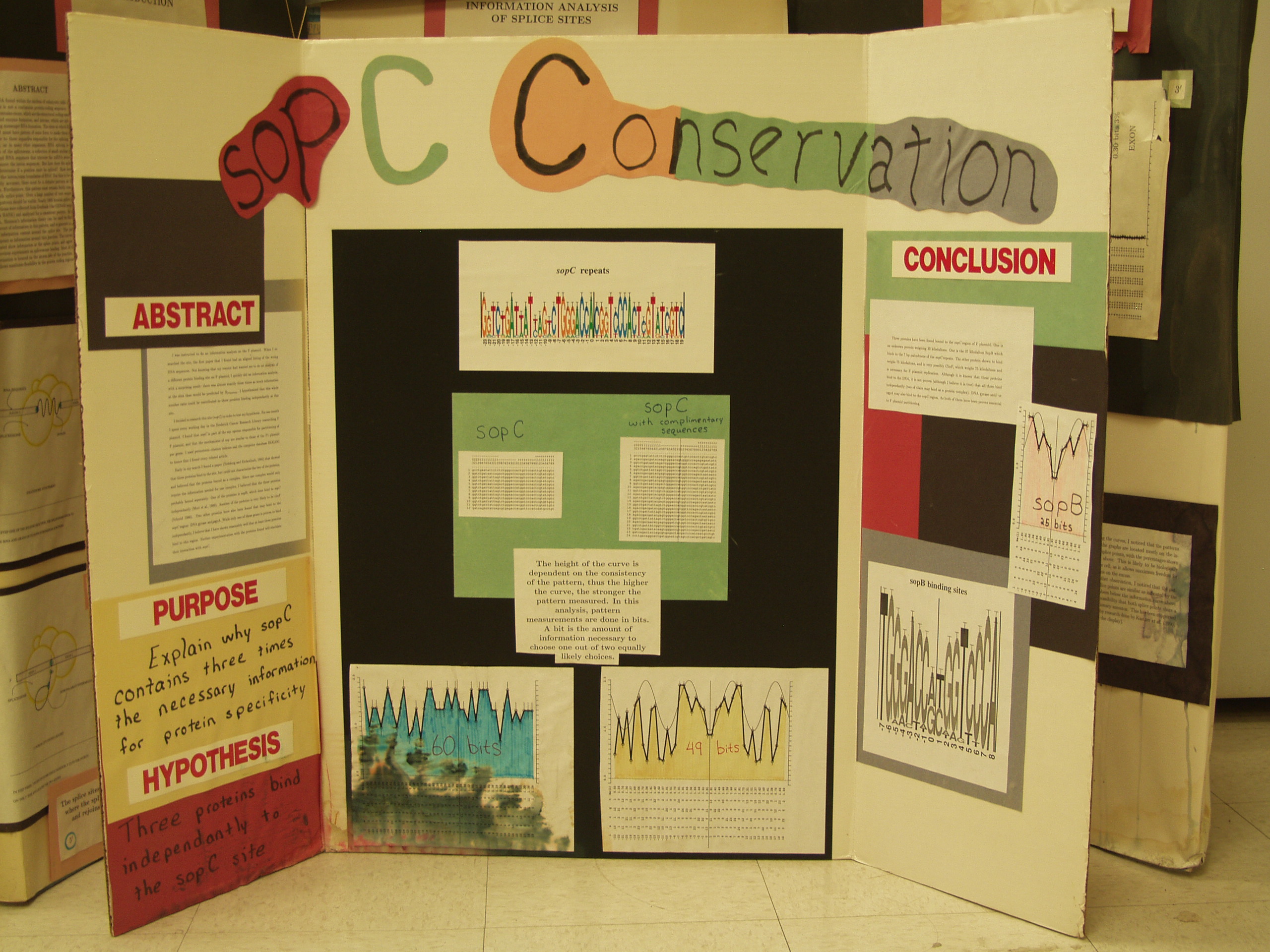 P8237805.JPG Photograph of Nathan Herman's 1991 science fair poster 'incD Conservation'