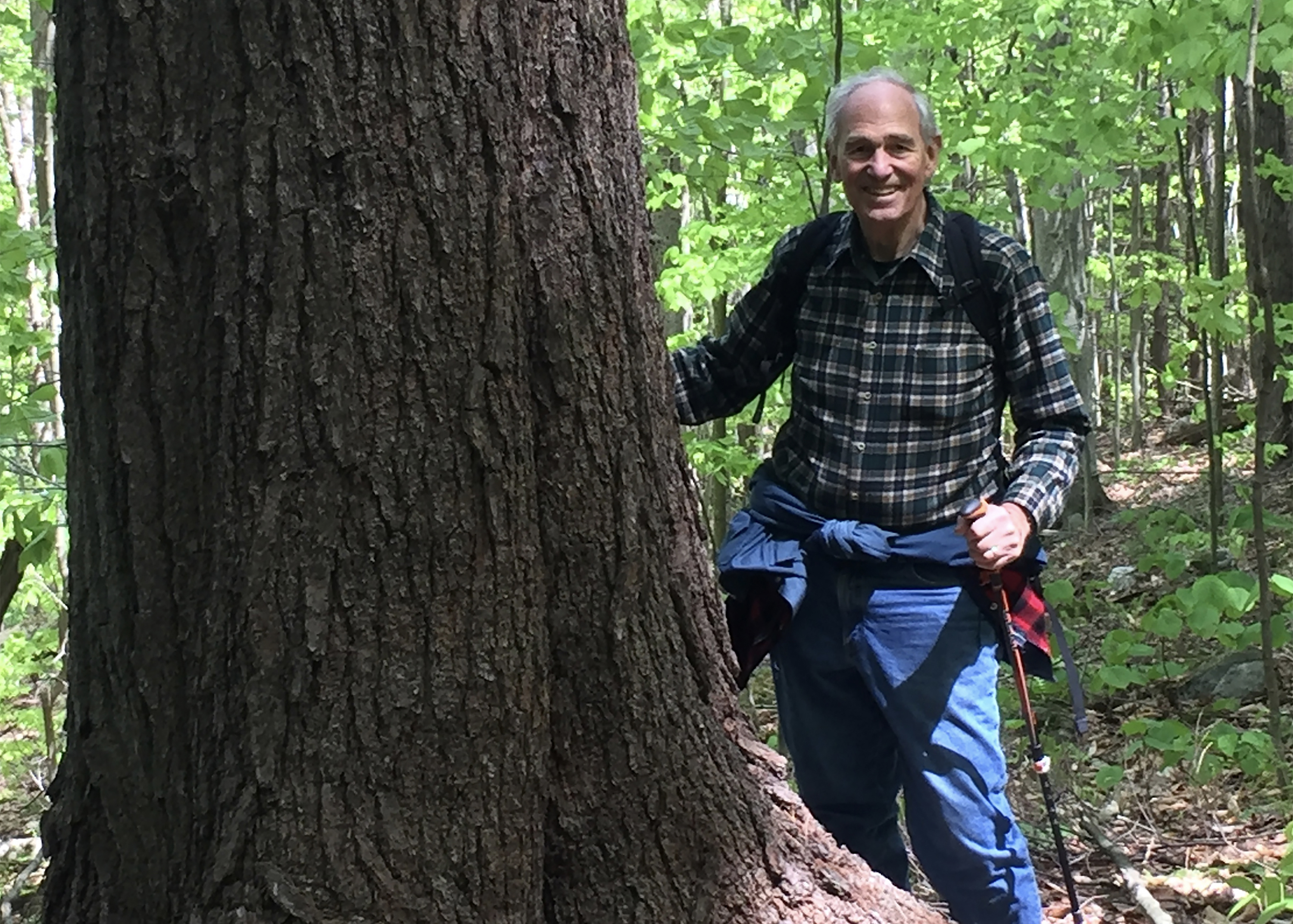 In hiking clothes, Bill Moomaw stands beside a tree trunk in the forest