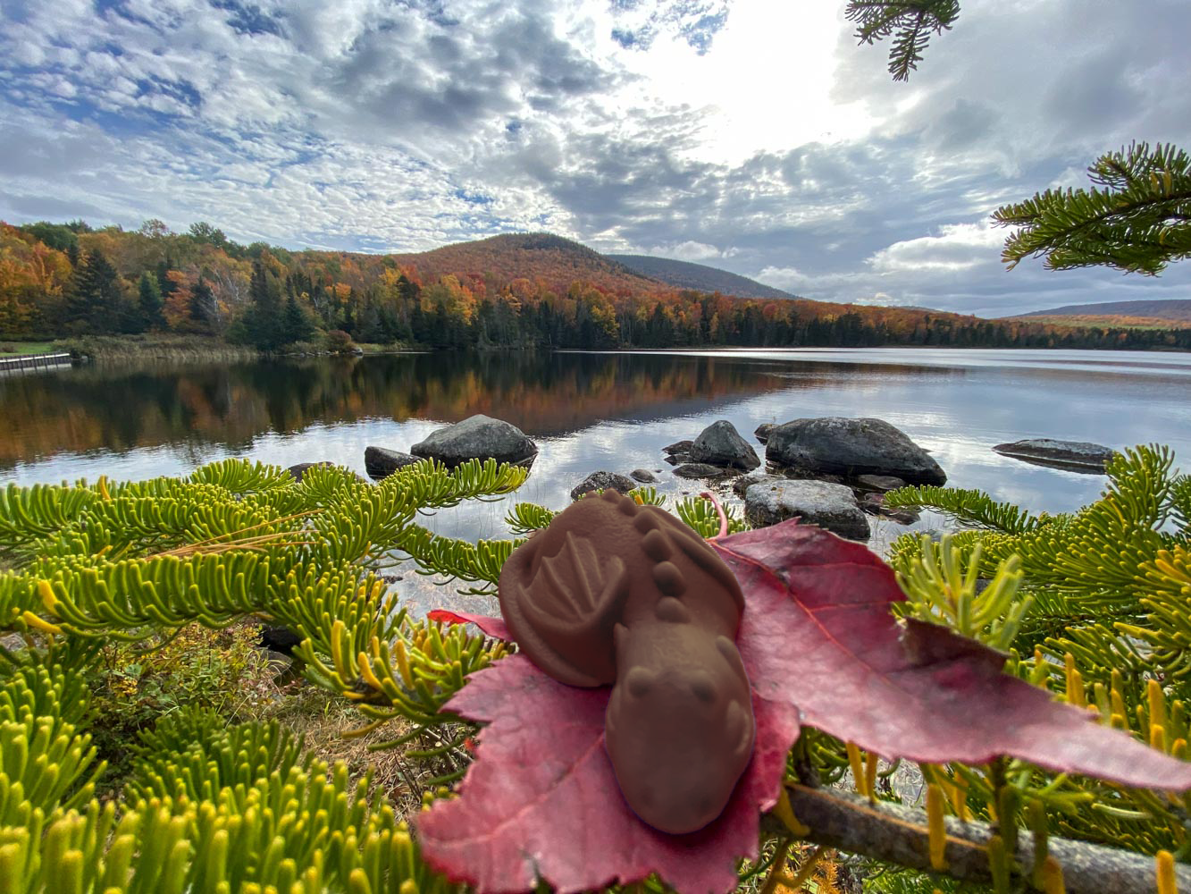 A landscape with a lake and mountains and a dragon-shaped chocolate on a leaf
