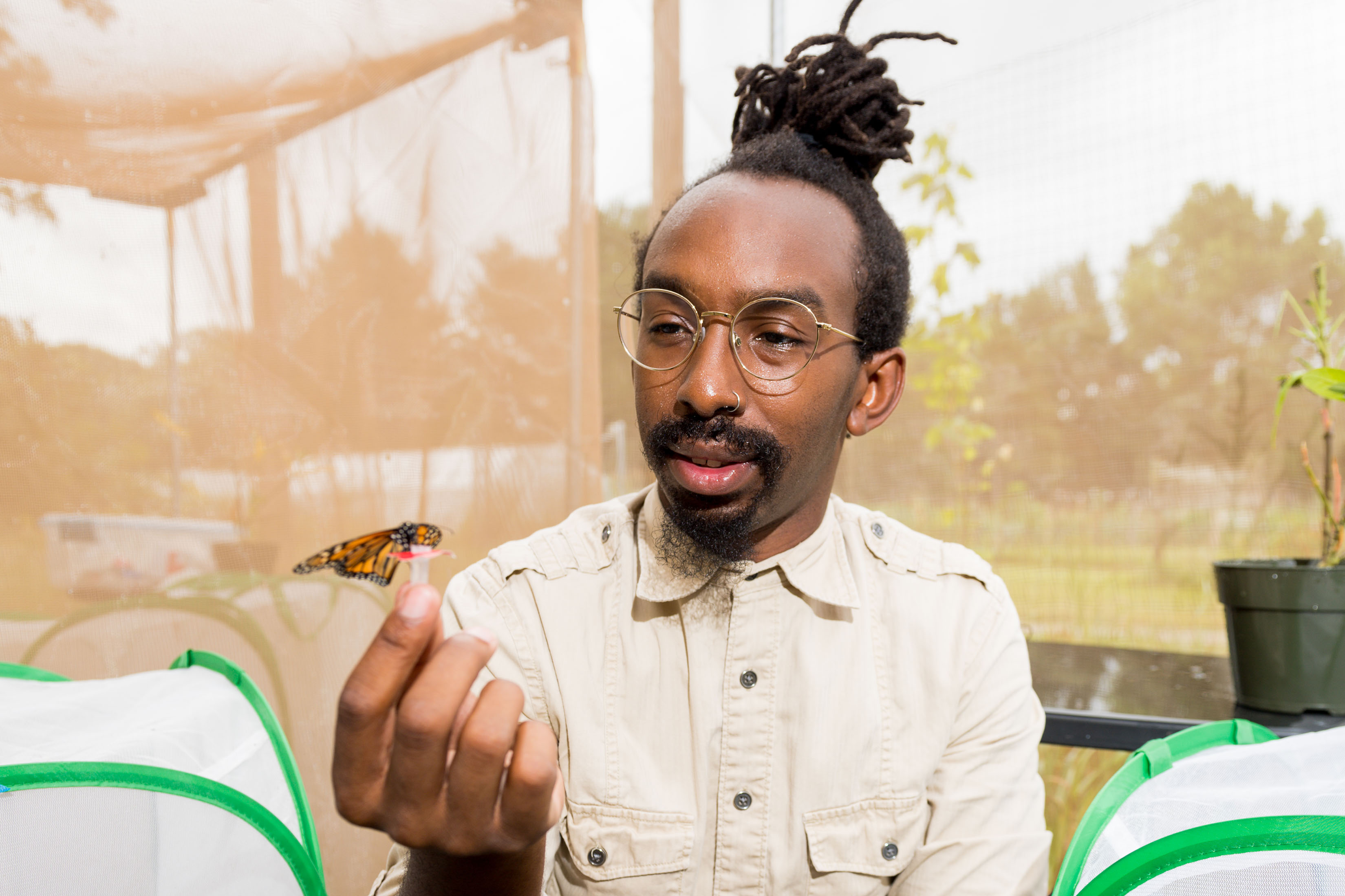 Andre Green observes a monarch butterfly as it sits on a small tube he holds between his thumb and finger. Two mesh containers can be seen to his left and right. 