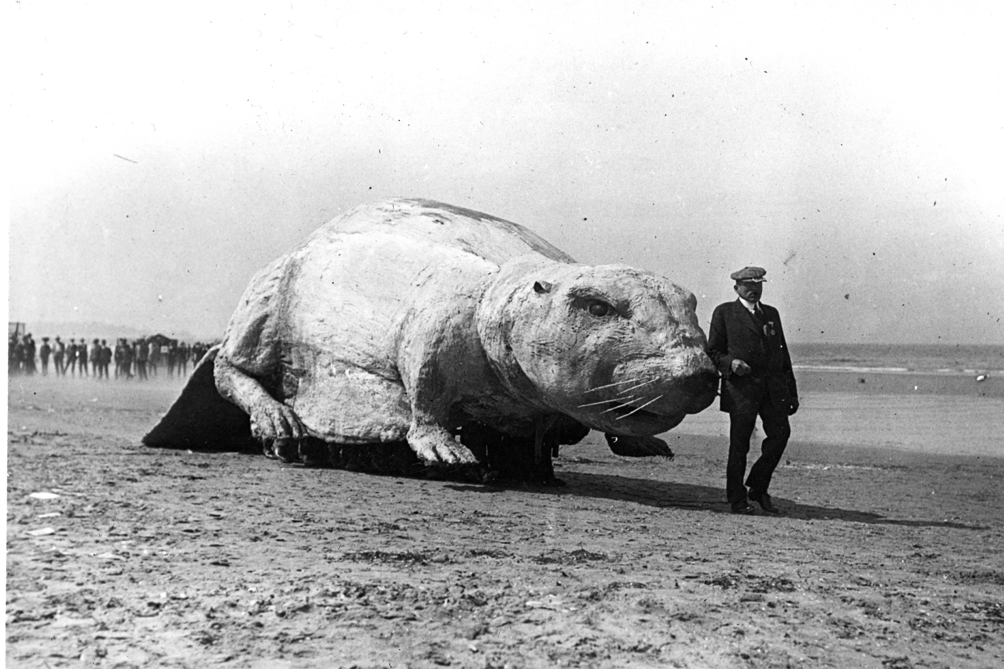Black and white photo of man walking beside an enormous papier-mâché beaver made for MIT’s move from Boston to Cambridge in 1916