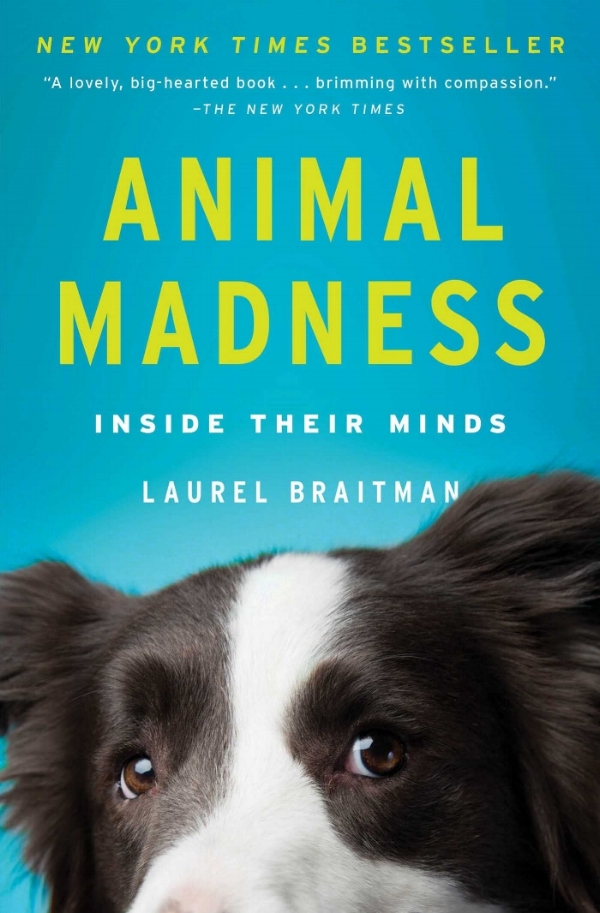 Book Cover: Animal Madness by Laurel Braitman