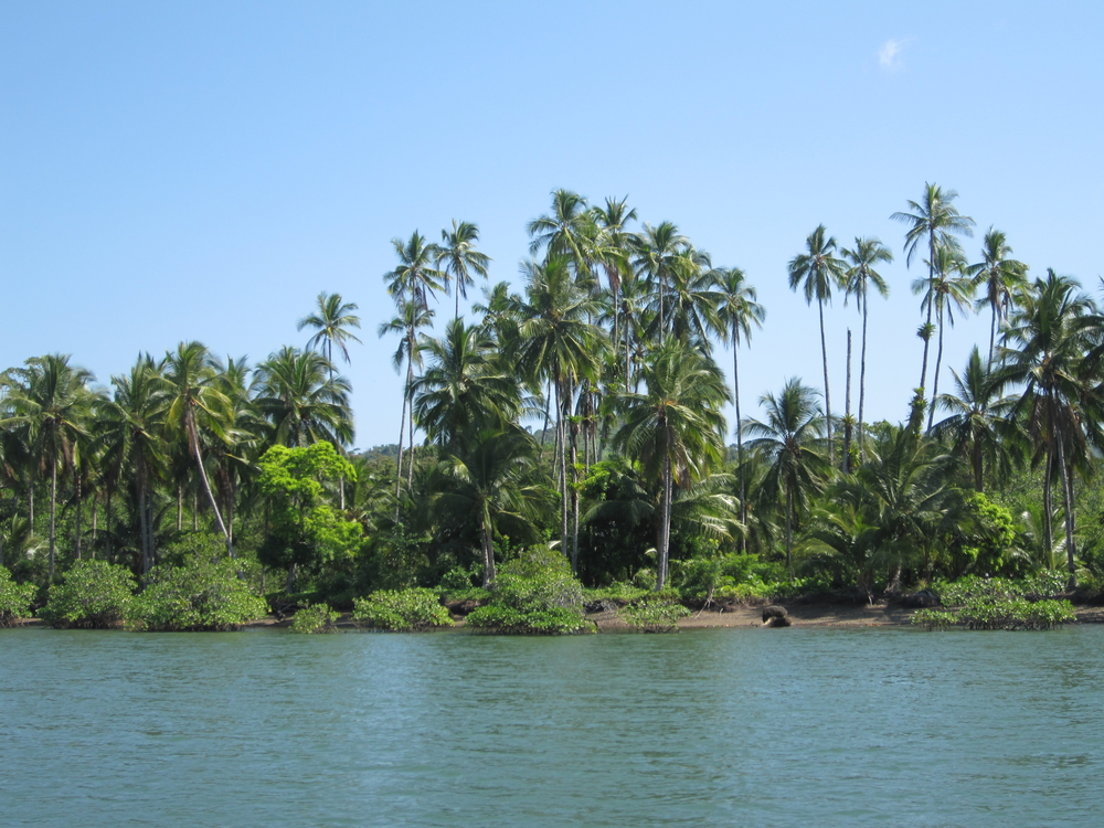 Panama: the Liquid Jungle Lab