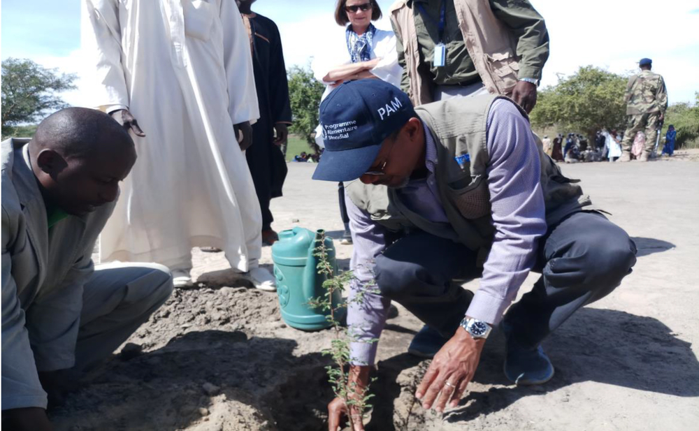 Chris Nikoi plants a tree at a site in Chad