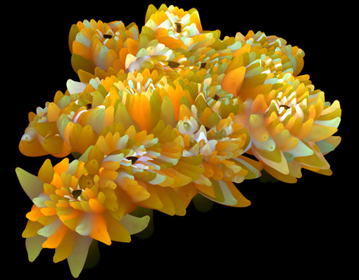 Spam plant by Media Lab grad student Alex Dragulescu