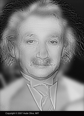 Upclose this is an image of Albert Einstein, but take a few steps back and Marilyn Monroe appears.