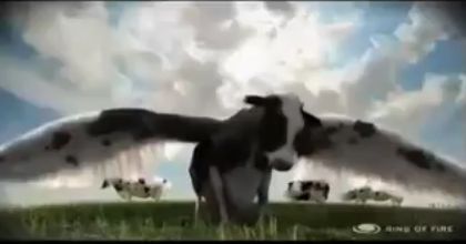 Screenshot of Greg Anderson reel