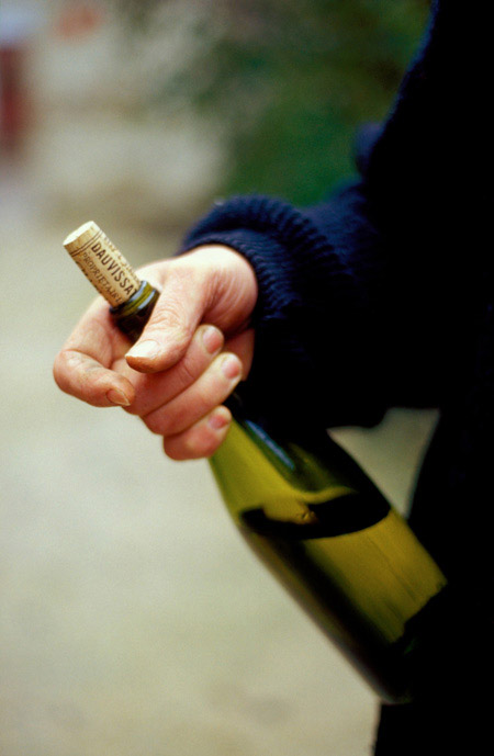 Vincent Dauvissat, a Chablis winemaker, holds a bottle of his excellent wine.