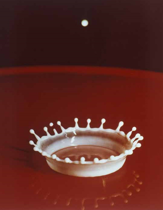 Drop of milk captured by Doc Edgerton.