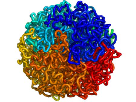 In 3-D genome imaging, nearby regions of DNA are depicted in different colors