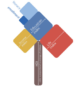 The HDI tree created by MIT Assistant Professor Cesar A. Hidalgo