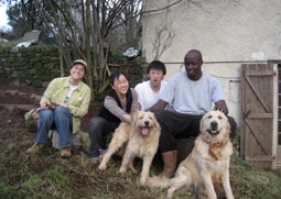 The four MIT students on the farming externship. From left: Alexandra de Rosa '13, Jessica Lin '12, Harrison Chen '11, and Patrick Gichuiri '13.