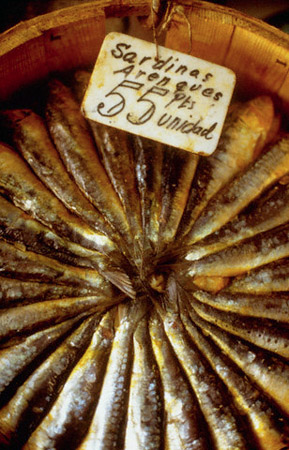 A bucket of sardines for sale in Madrid, Spain (© Owen Franken/CORBIS). 