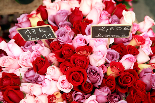 Roses in Paris (© Owen Franken).