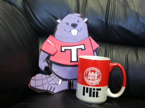 Flat Tim Beaver with a cup of coffee