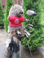 Beaver golf-club head cover wearing an MIT Sloan T-shirt.