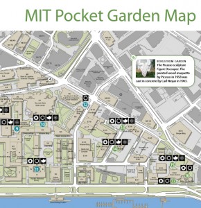 Download the Pocket Garden map and enjoy.