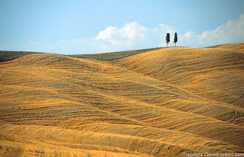 Tuscany landscape, near Siena (© Owen Franken)