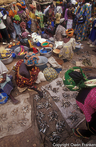 The Sanga Market in Mali, WestAfrica (© Owen Franken)