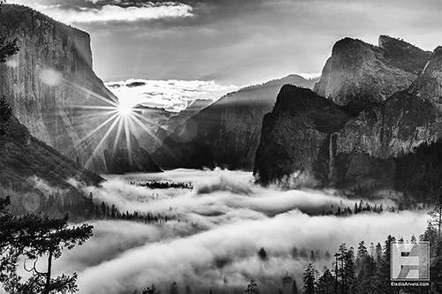 Capitan Sunrise. A morning fog engulfs Yosemite Valley, Yosemite National Park, California (© Eladio Arvelo).
