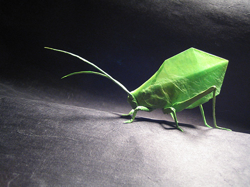 A leaf katydid, designed and folded by Brian Chan from a 12 inch square of green tissue paper (© Brian Chan).