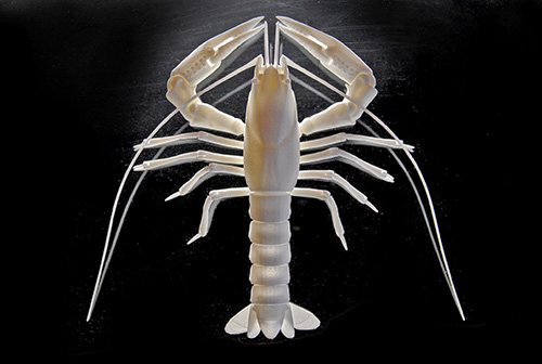 This fully posable articulated crayfish has moving joints—antennae, eyes, legs, claws, and tail—modeled and 3D printed in laser-sintered nylon (© Brian Chan).