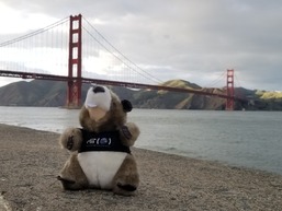 Tim the Beaver in San Francisco
