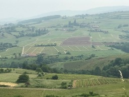 Landscape near Montmelas