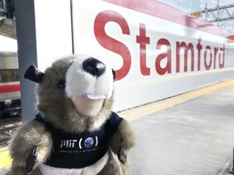 Tim the beaver in front of stamford sign
