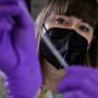 Closeup of Betar Gallant wearing a black mask and looking at a tube she holds in purple-gloved hands.