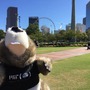 MIT Tim the Beaver in Atlanta 