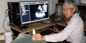 Francis Sheehan demonstrates use of her ultrasound simulator.