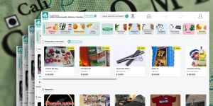 Screenshots of the Quipu market webpage showing household products for sale