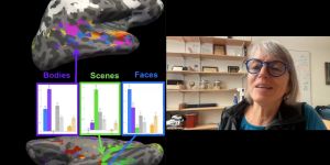 Nancy Kanwisher is shown from the shoulders up in an office setting. Her photo is inset on a slide showing two gray depictions of brains. Each brain is colored in spots and an overlay shows three bar charts labeled “Bodies,” “Scenes,” and “Faces.” Arrows point from each chart to a brain part.