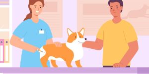 Illustration depicts a dog getting a shot from a woman in blue scrubs while a man pets the dog's head.