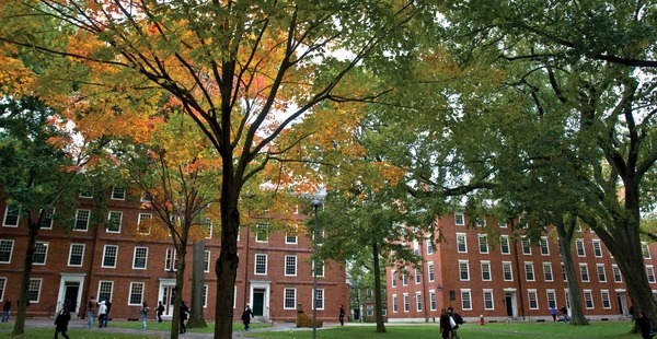 Ivy+ Harvard Zoom Background