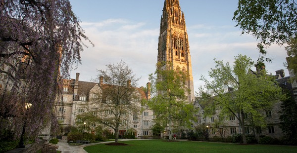 Ivy+ Yale Zoom Background