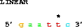 The DNA sequence 5' gaattc 3' with the second t marked
at position 5.