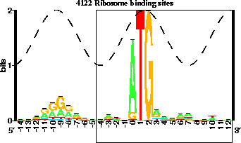 Rigid sequence logo of 4122 E.  coli Ribosome binding
sites showing the ATG from 0 to 2 and the Shine-Dalgarno
from -12 to -7 as a small pile of G's on top of A's.  The
region -4 to +12 is boxed to indicate the part that is
removed during refinement.